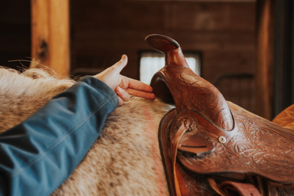3 Ways to Determine Your Saddle Doesnt Fit