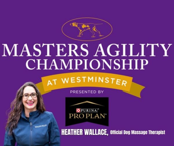 Heather Wallace Official Dog Massage Therapist of Westminster Masters Agility Championship 2023