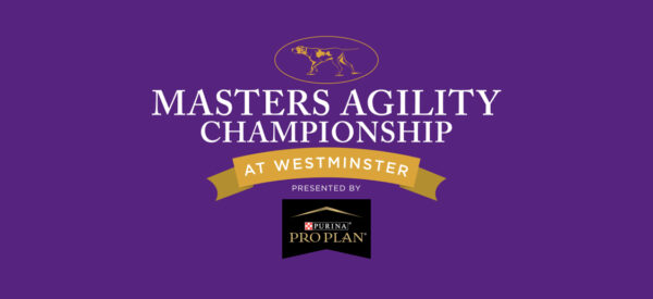 Westminster Masters Agility Championship