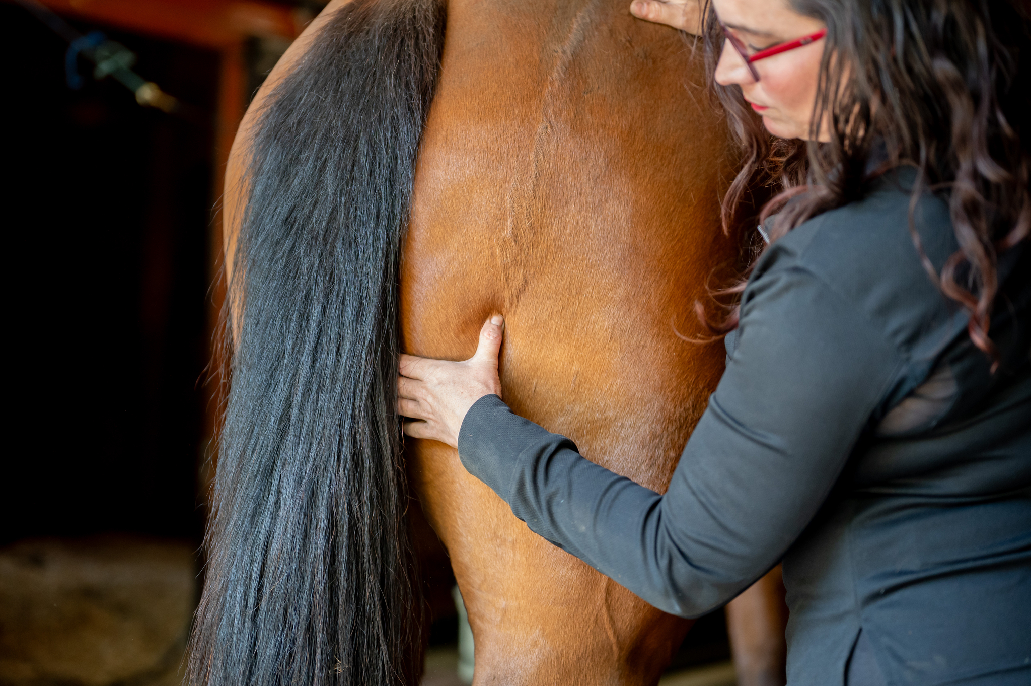 Woman massaging horse